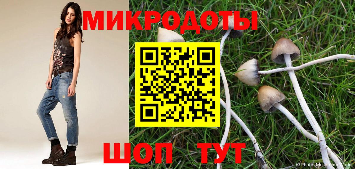 Галлюциногенные грибы ЛСД  Вход с VPN  наркотики  Галлюциногенные грибы мухоморы  Советск 