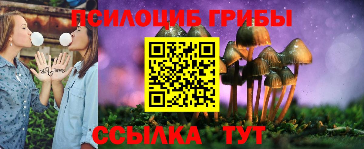 Галлюциногенные грибы Magic Shrooms Советск